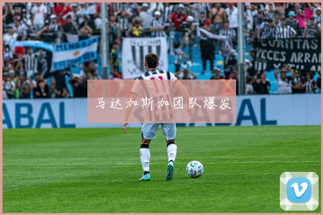 马达加斯加团队爆发