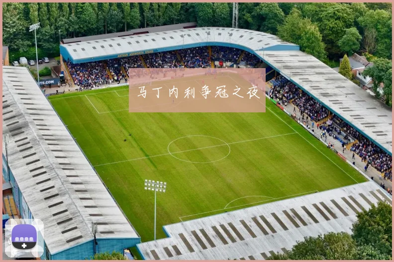 马丁内利争冠之夜