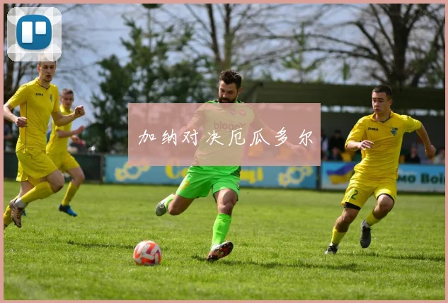 加纳对决厄瓜多尔