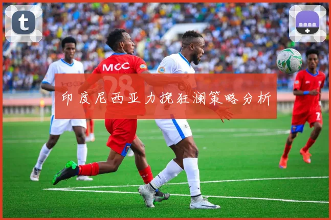 印度尼西亚力挽狂澜策略分析