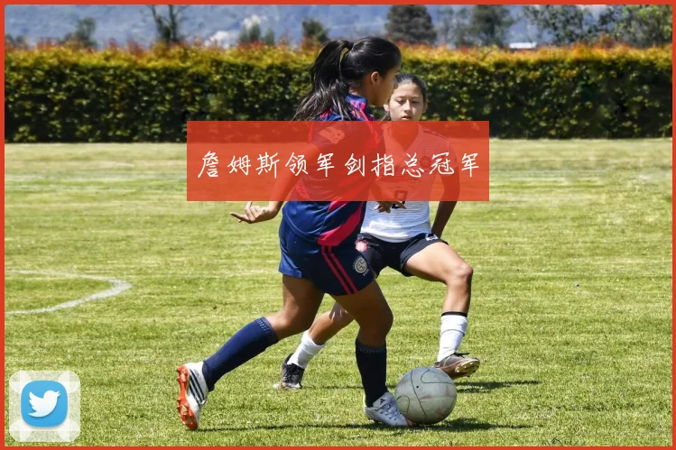 詹姆斯领军剑指总冠军