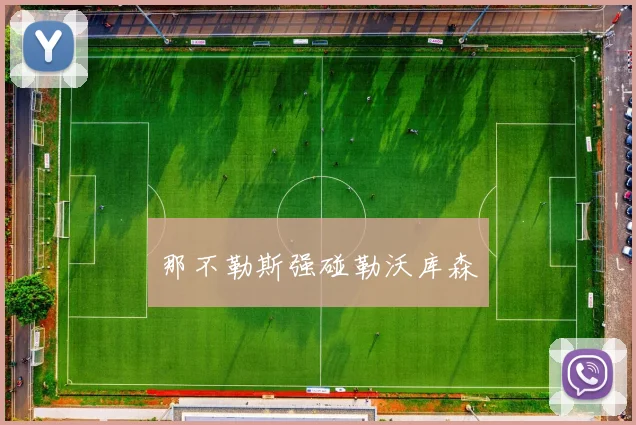 那不勒斯强碰勒沃库森