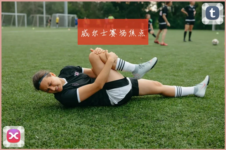 威尔士赛场焦点