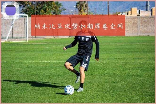 纳米比亚攻势如潮席卷全网