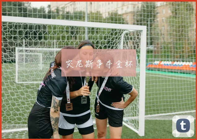 突尼斯争夺金杯