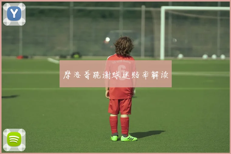 摩洛哥跪谢球迷赔率解读