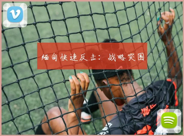 缅甸快速反击：战略突围