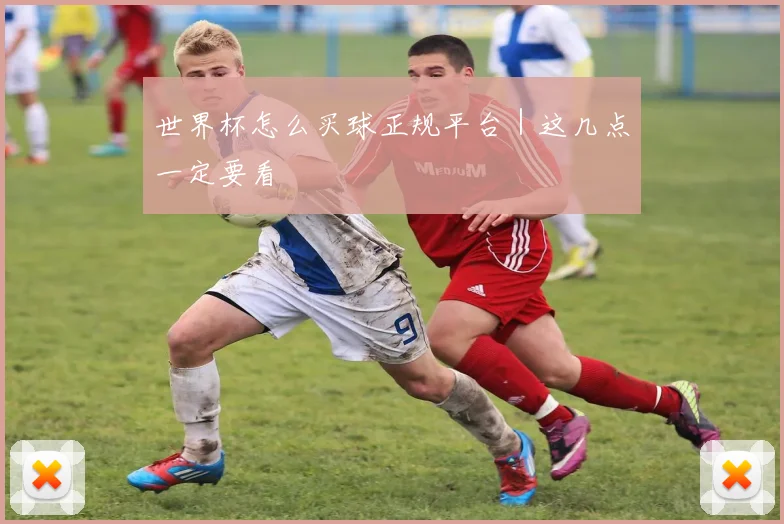 世界杯怎么买球正规平台｜这几点一定要看