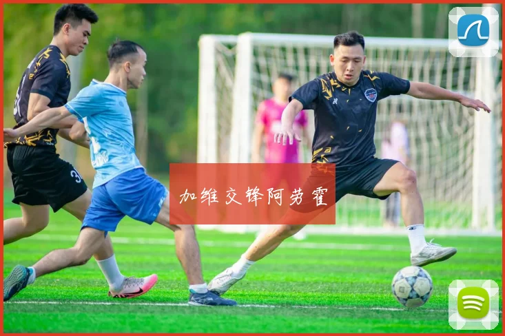 加维交锋阿劳霍