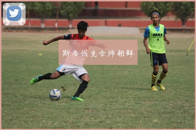 斯洛伐克会师朝鲜