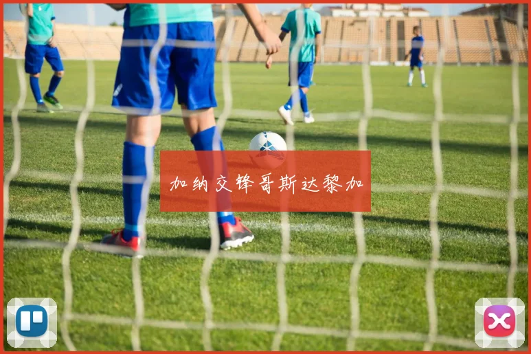 加纳交锋哥斯达黎加
