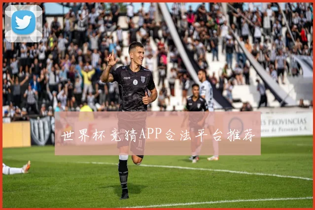 世界杯竞猜APP合法平台推荐