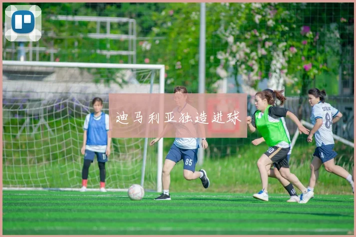 迪马利亚独造进球