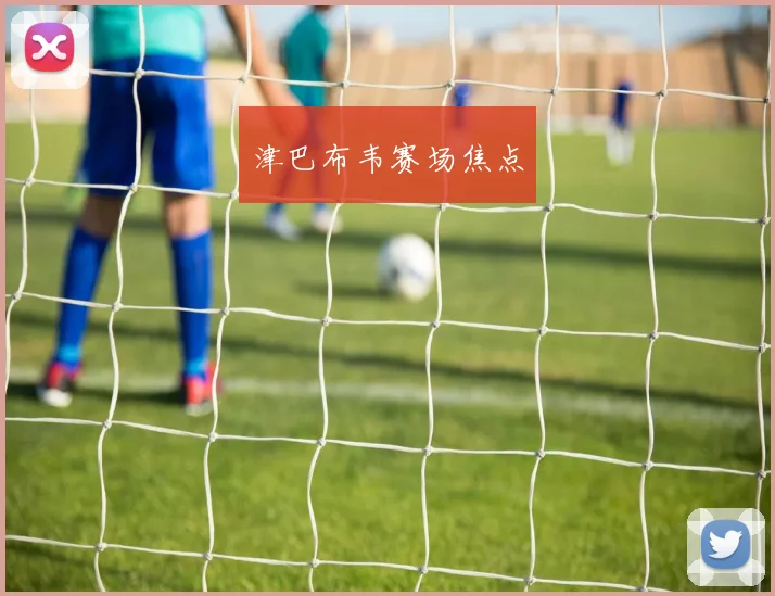 津巴布韦赛场焦点