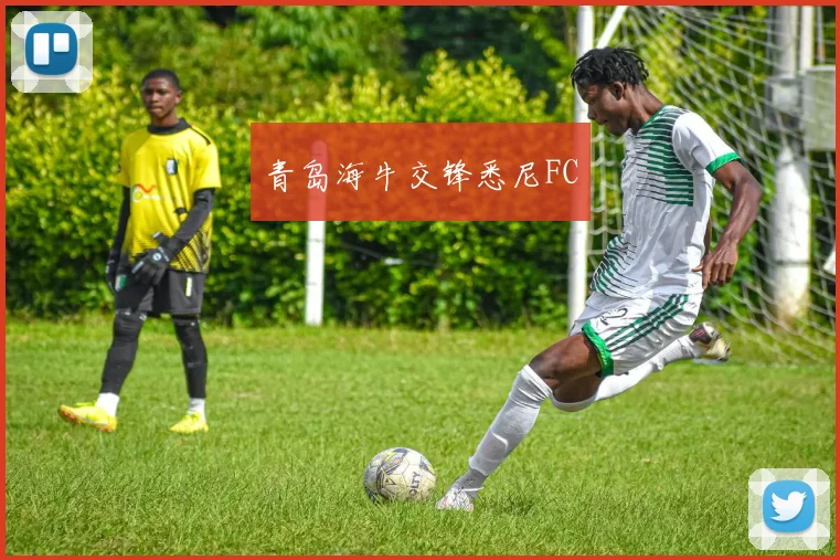 青岛海牛交锋悉尼FC