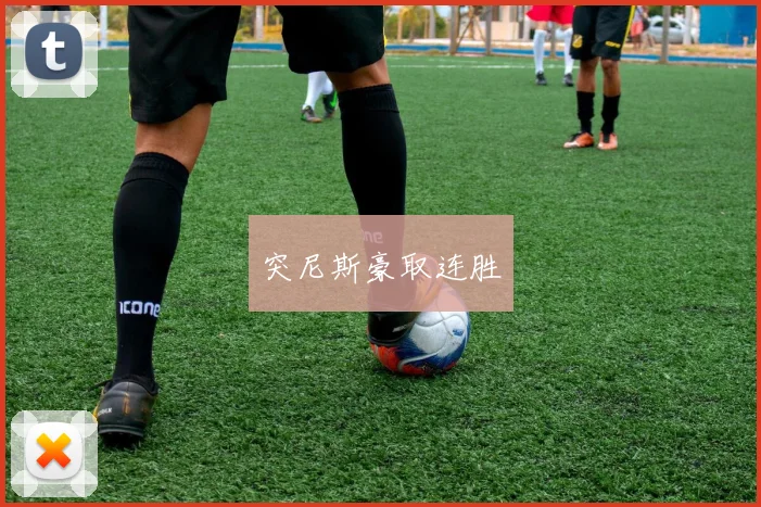突尼斯豪取连胜