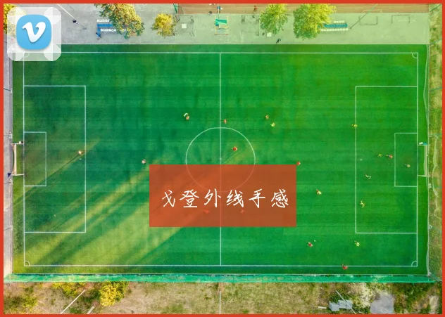 戈登外线手感