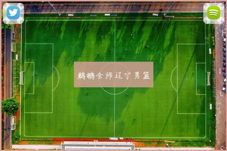 鹈鹕会师辽宁男篮