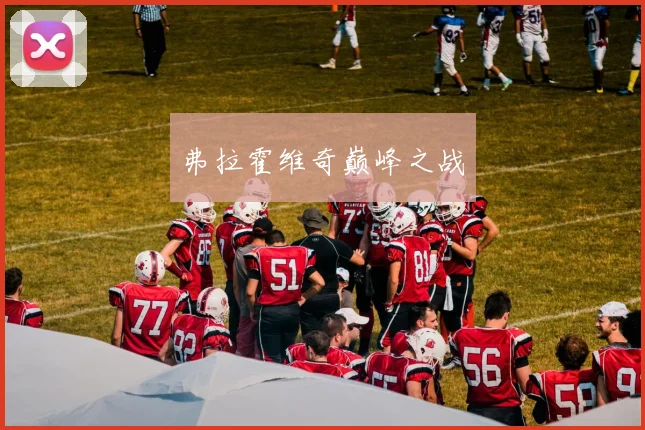 弗拉霍维奇巅峰之战