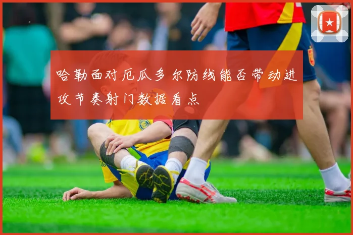 哈勒面对厄瓜多尔防线能否带动进攻节奏射门数据看点