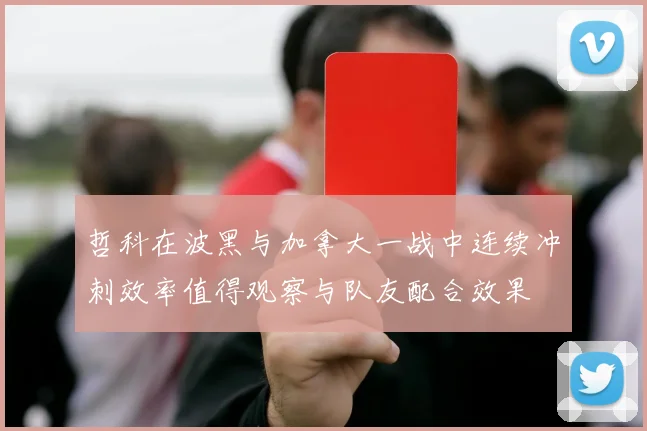 哲科在波黑与加拿大一战中连续冲刺效率值得观察与队友配合效果