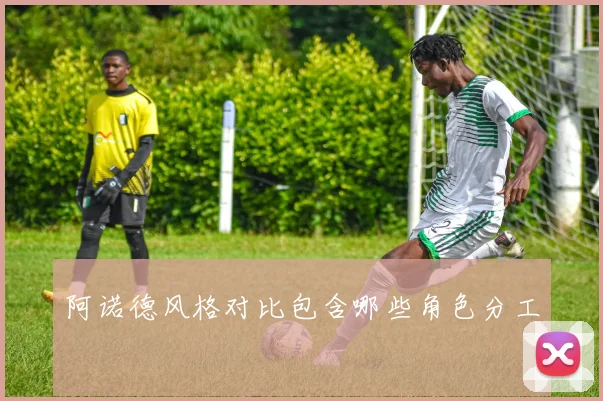 阿诺德风格对比包含哪些角色分工
